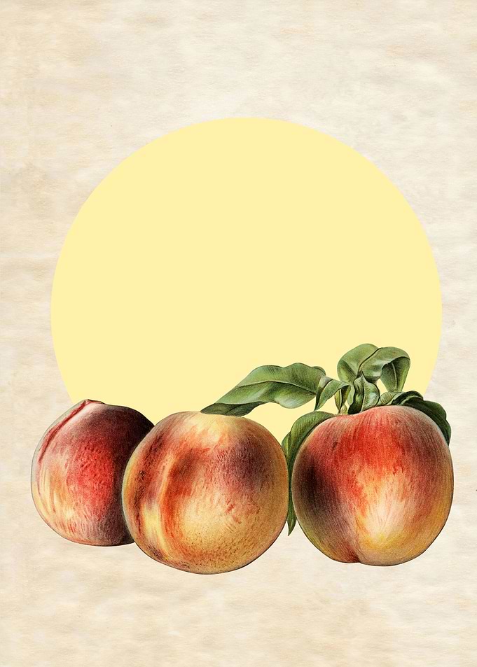 VINTAGE PEACHES