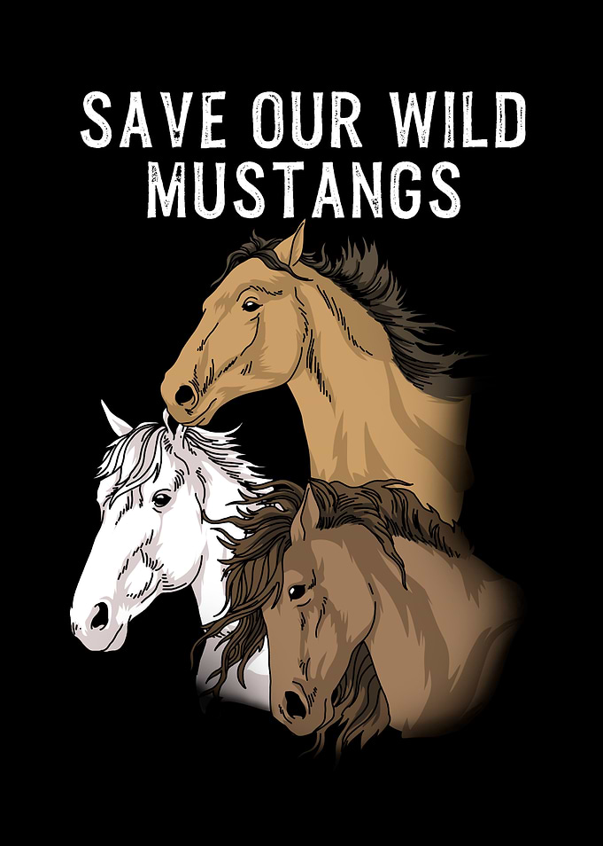 Horse Lover Wild Mustangs