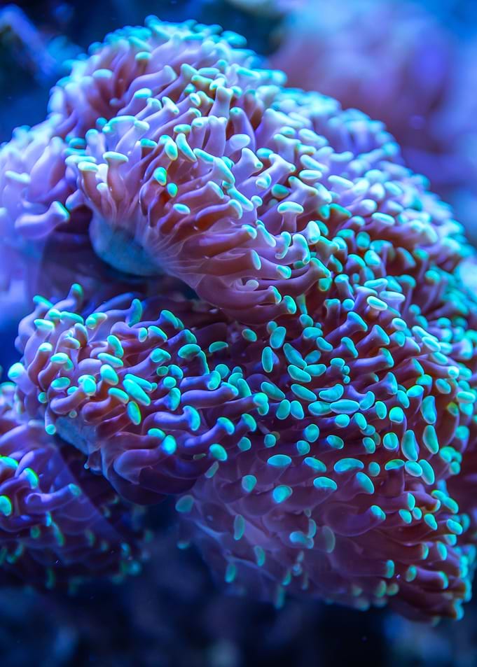 Under Water