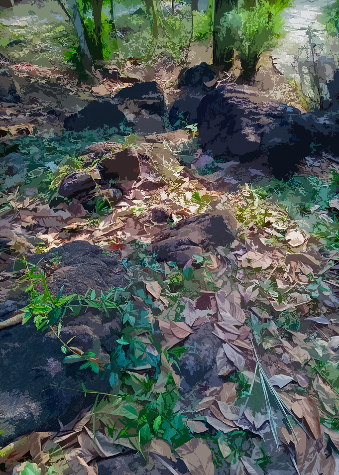 Forest in Colors3
