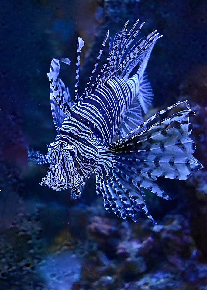 Under Water