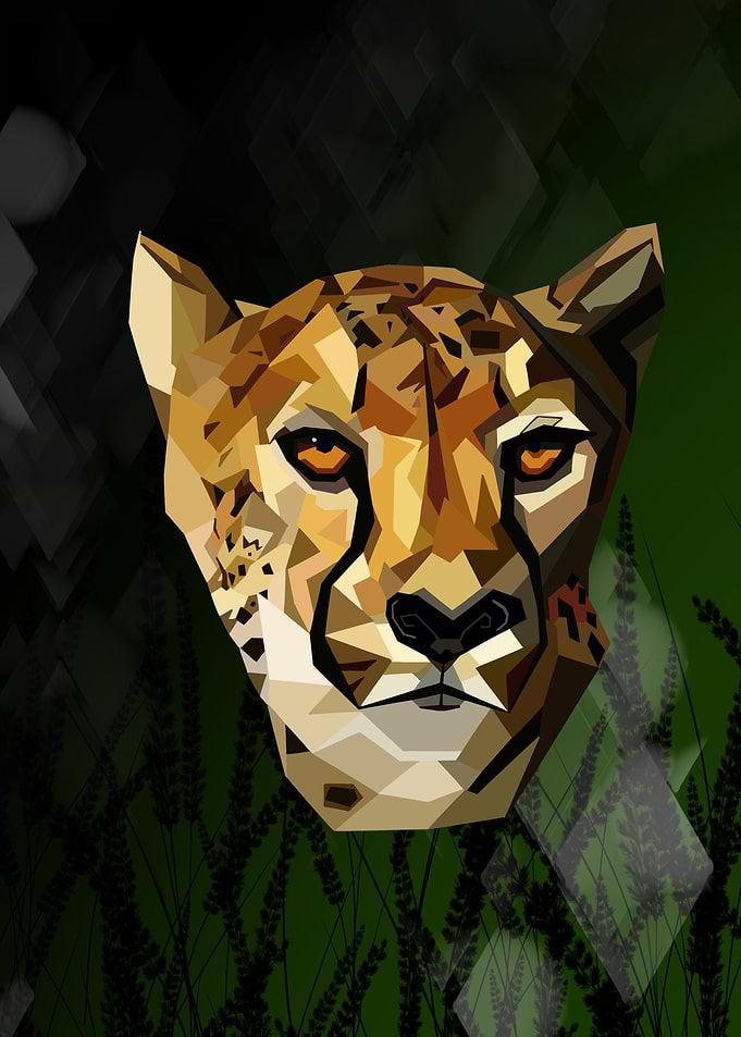 Cheetah