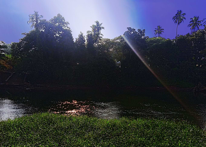 River in Morning Gloom