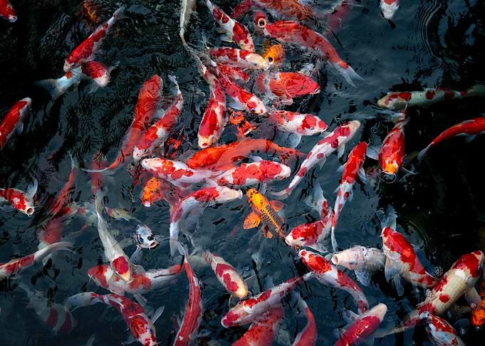 Under Water