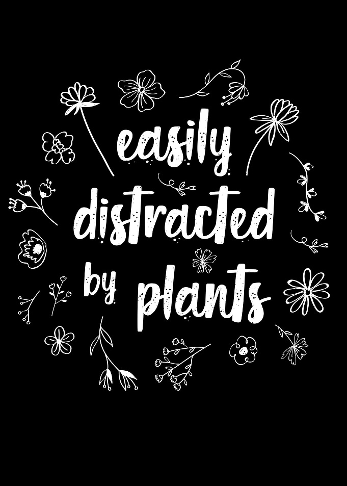 Distractible by flowers