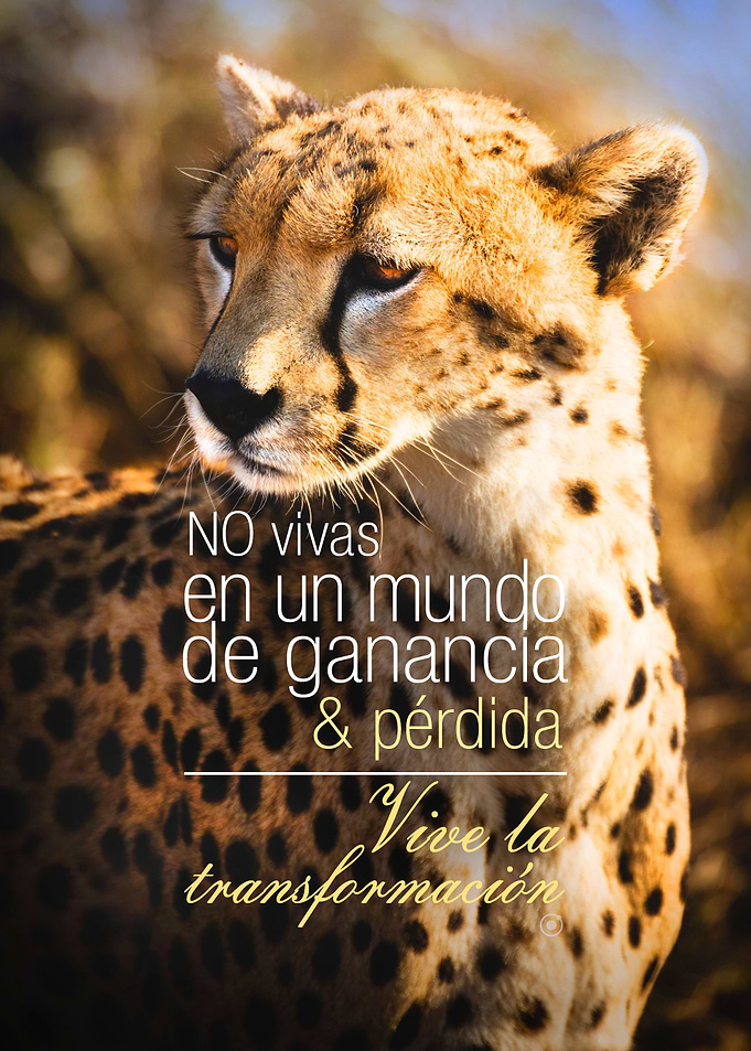 Leopardo con frase