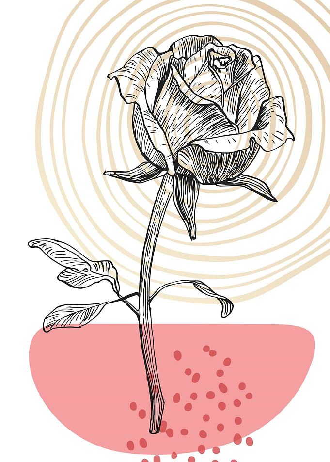 Roses