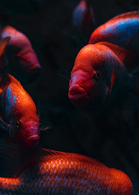 Under Water