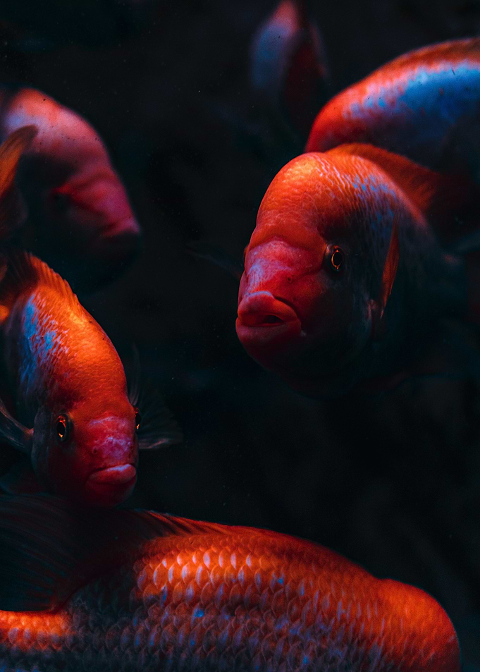 Under Water