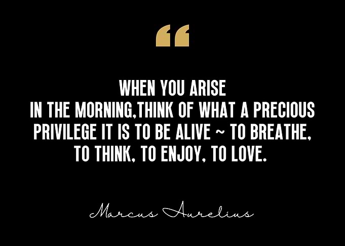 Marcus Aurelius Quote