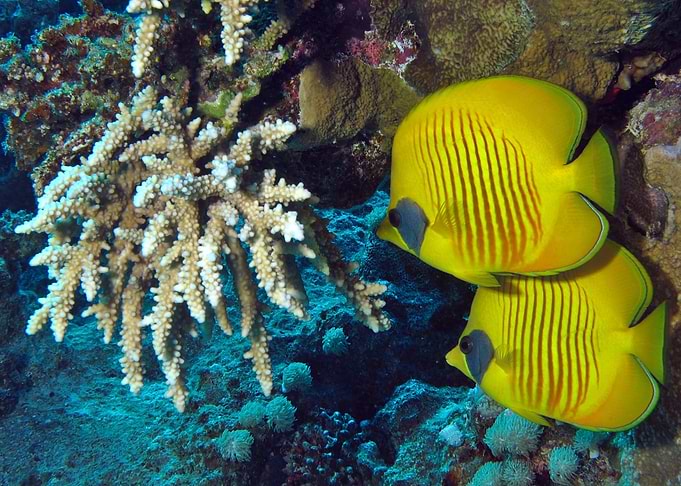 Under Water