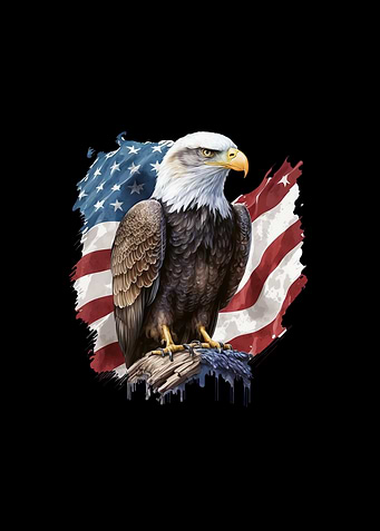 American Flag I USA I