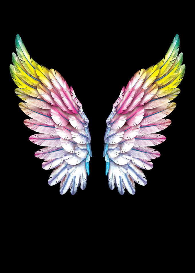 Angel Wings Rainbow Gay