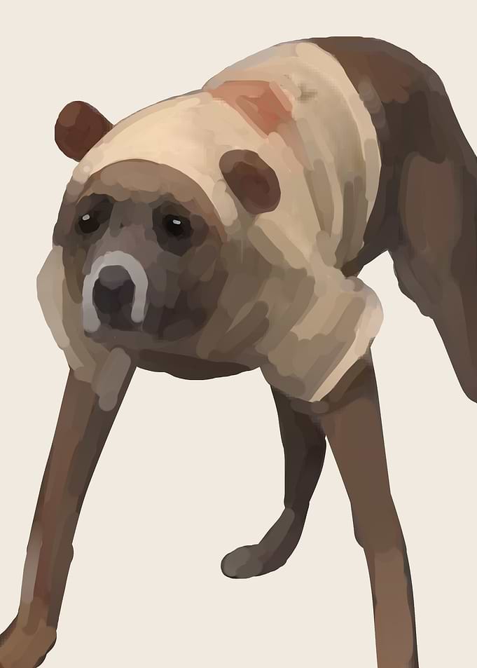 a dog funny moment