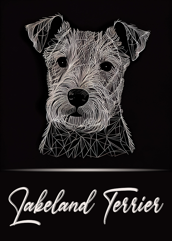 Lakeland Terrier Portrait