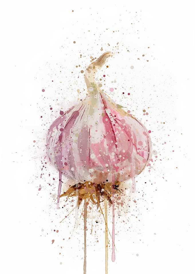 Garlic Bulb Vegetable