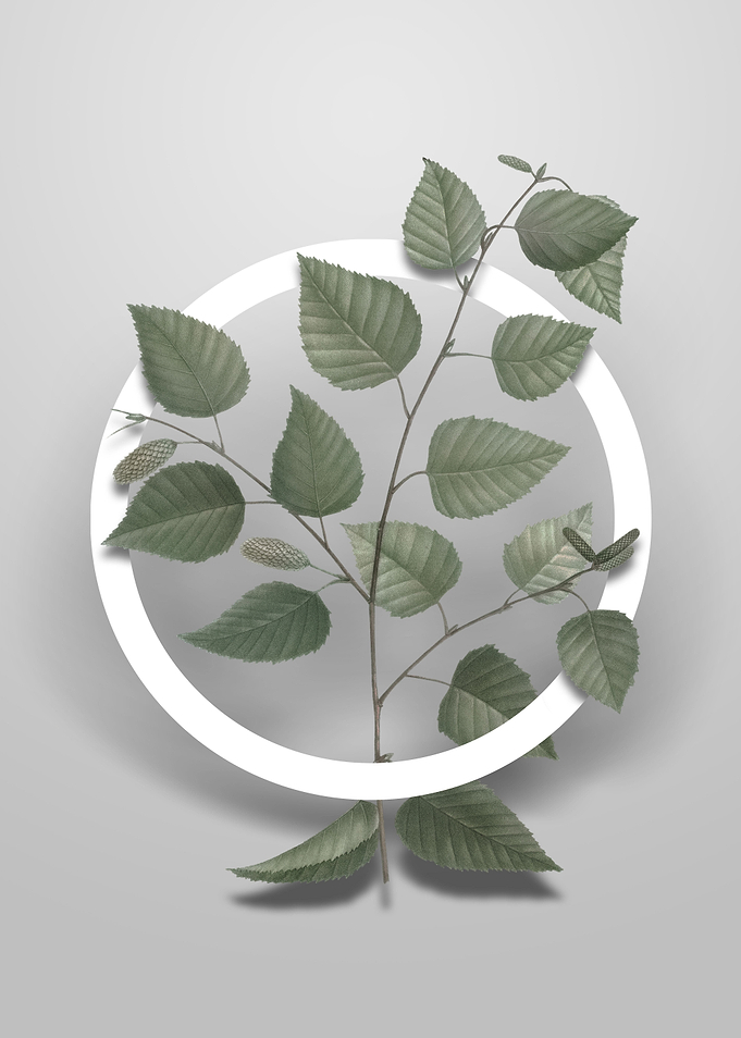 Vintage Paper Birch Flower