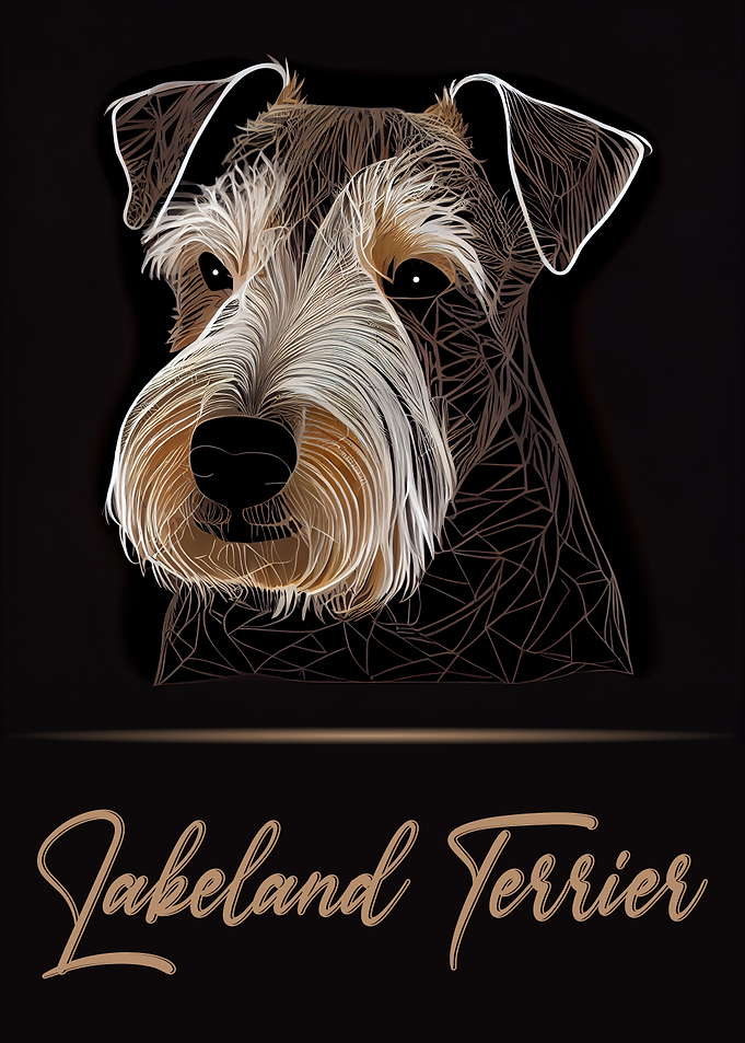 Lakeland Terrier