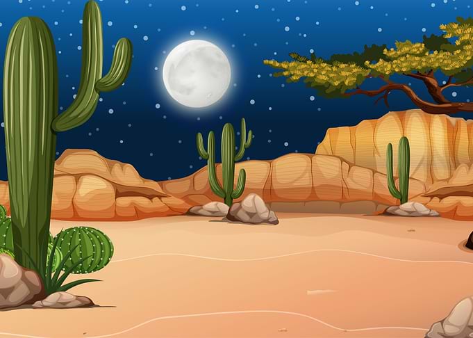 Desert Forest Landscape