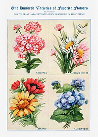 100 Varieties of Flowers