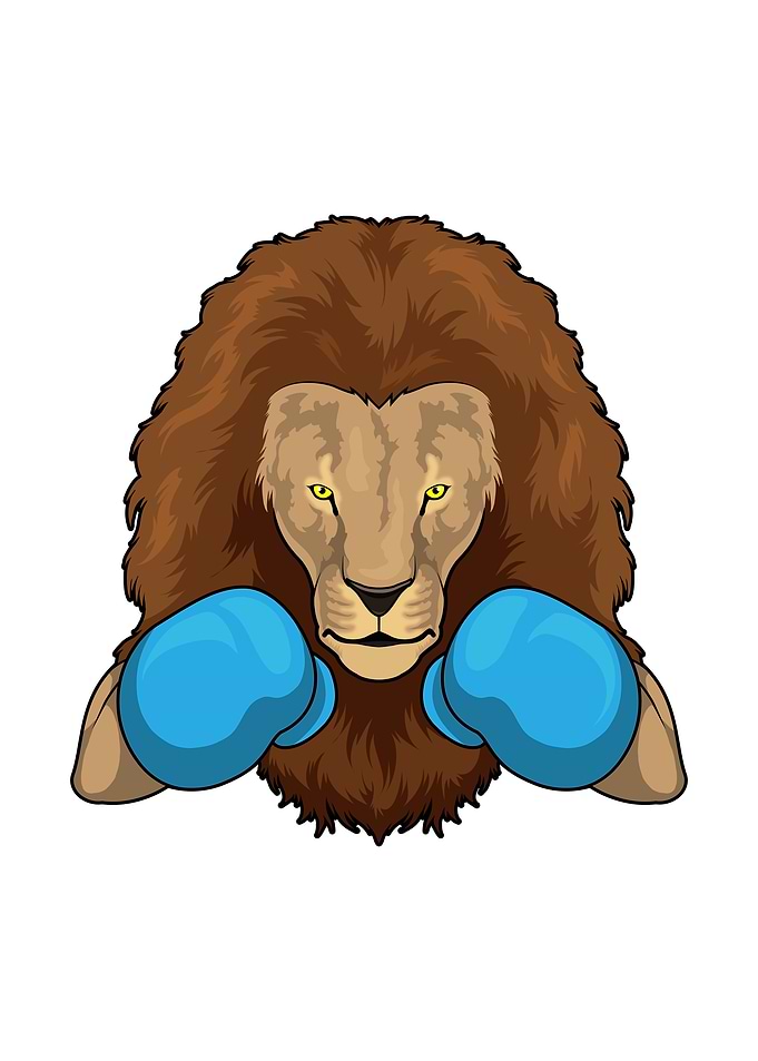 Lion Boxer Boxing gloves