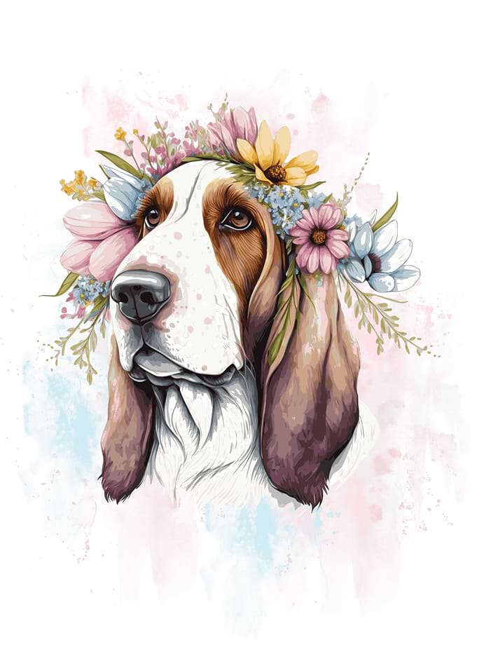 Basset Hound Watercolor