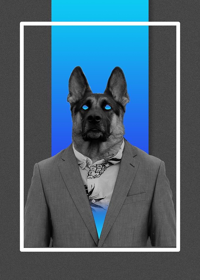 Sire Dog