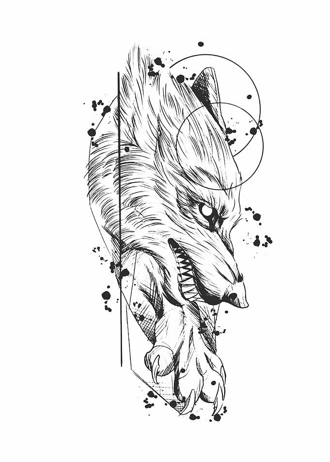 wolf