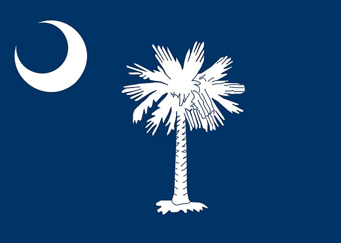 South Carolina State Flag