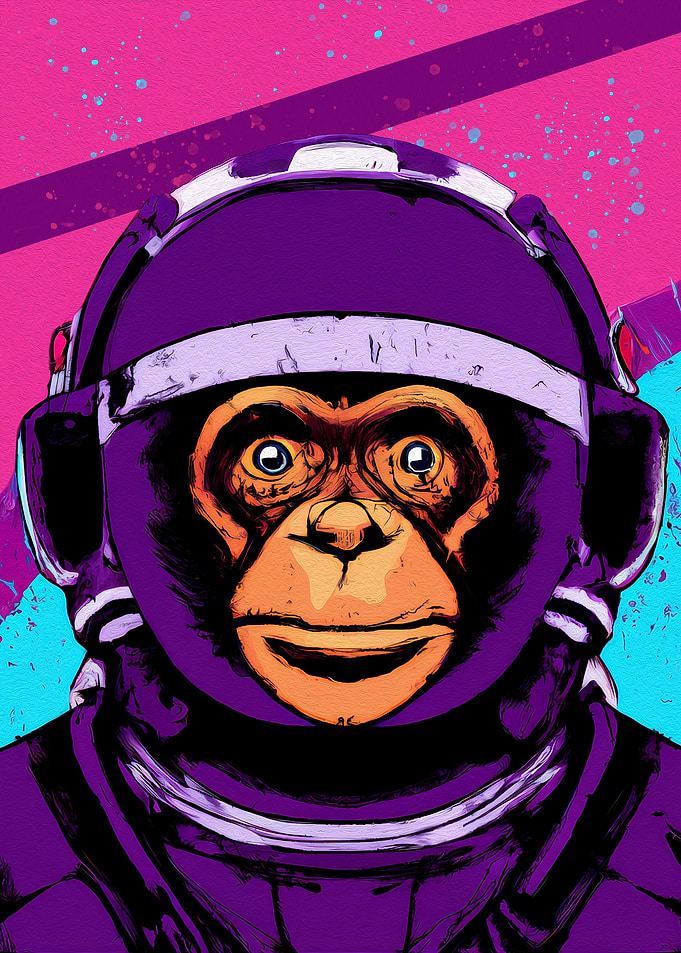 space monkey