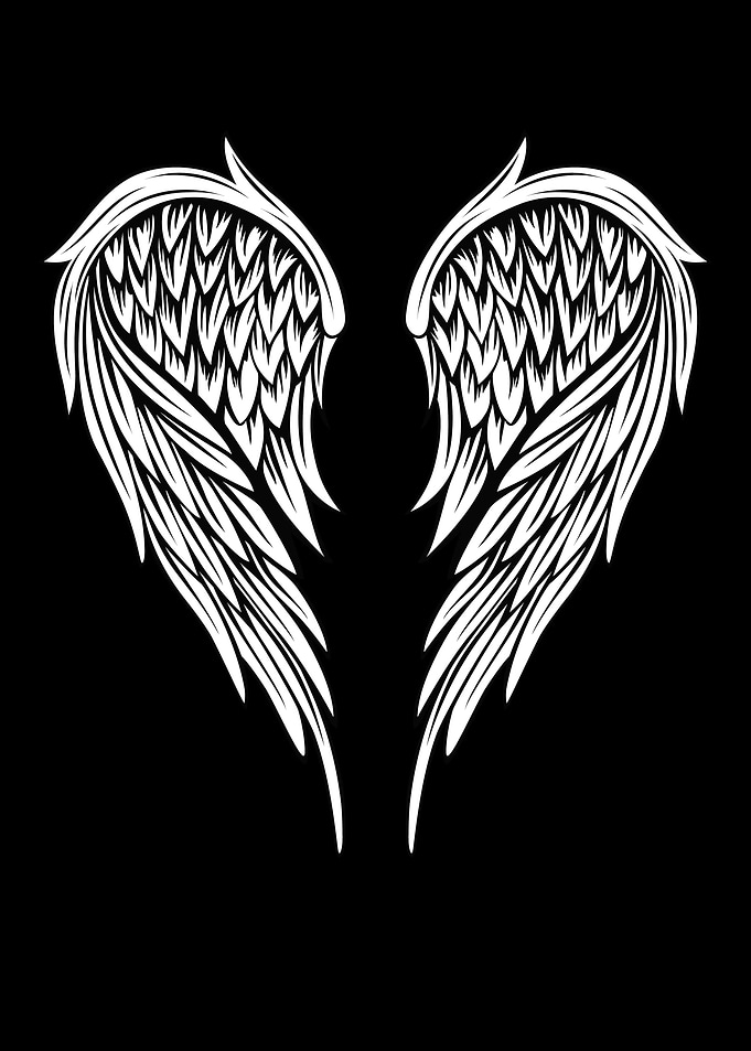 Angel Wings Angel Wings