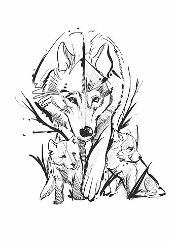 wolf