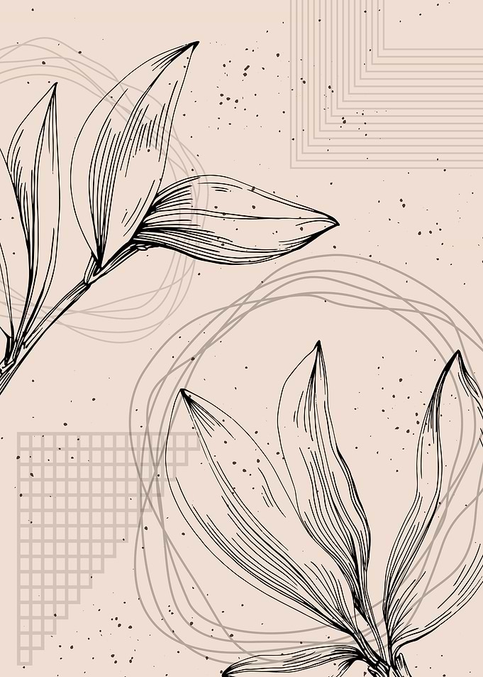 Jojoba Minimalist