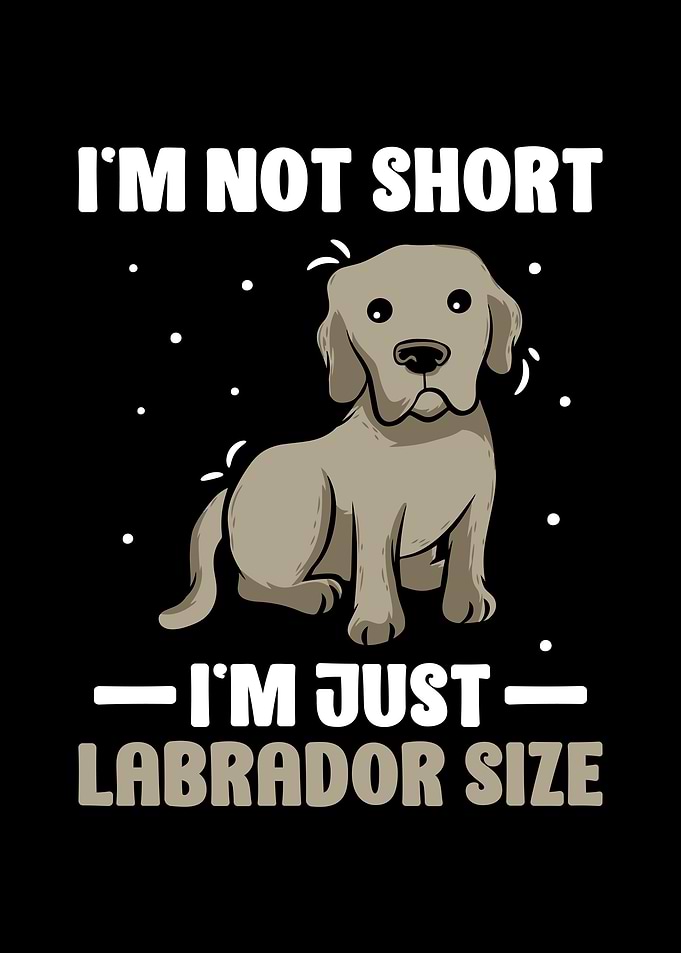 Labrador