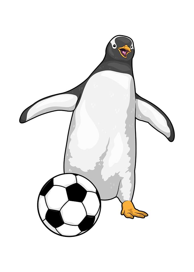 Penguin Soccer Sports