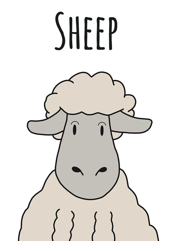 Animation Sheep Poster