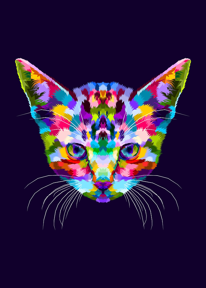 Colorful kitten