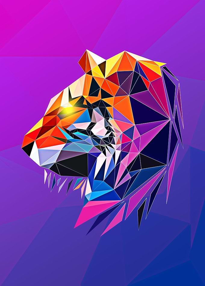 Tiger portrait