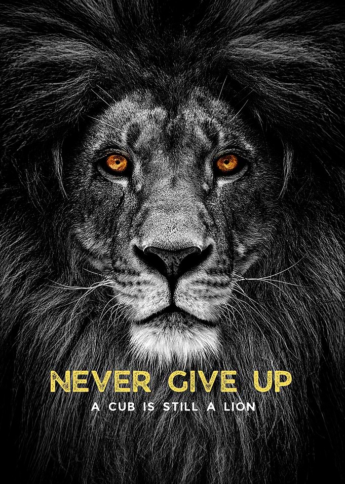Lion Quote Never Give Up