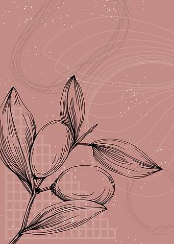 Jojoba Minimalist