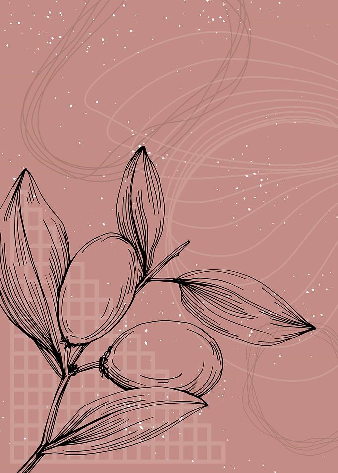 Jojoba Minimalist