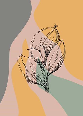 Jojoba Minimalist