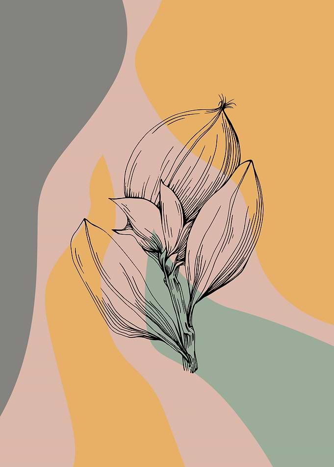 Jojoba Minimalist