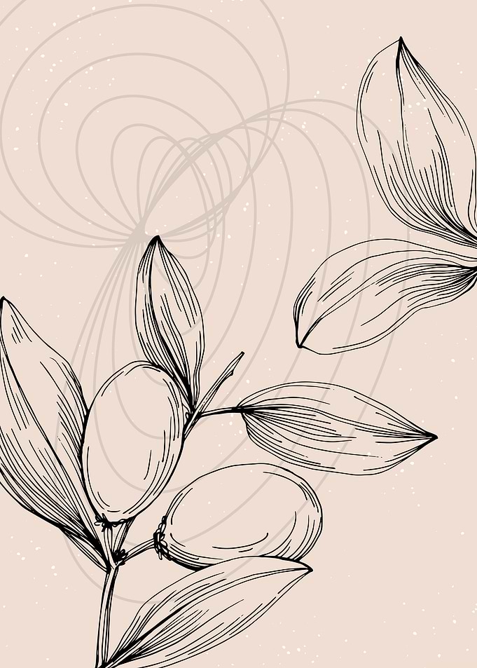Jojoba Minimalist