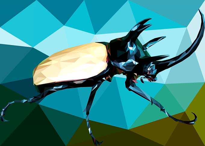 Beetle