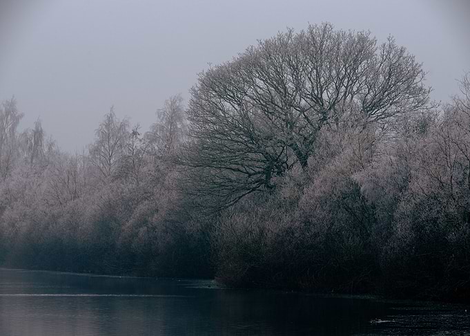 Winter frost on the lake