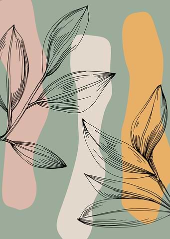 Jojoba Minimalist
