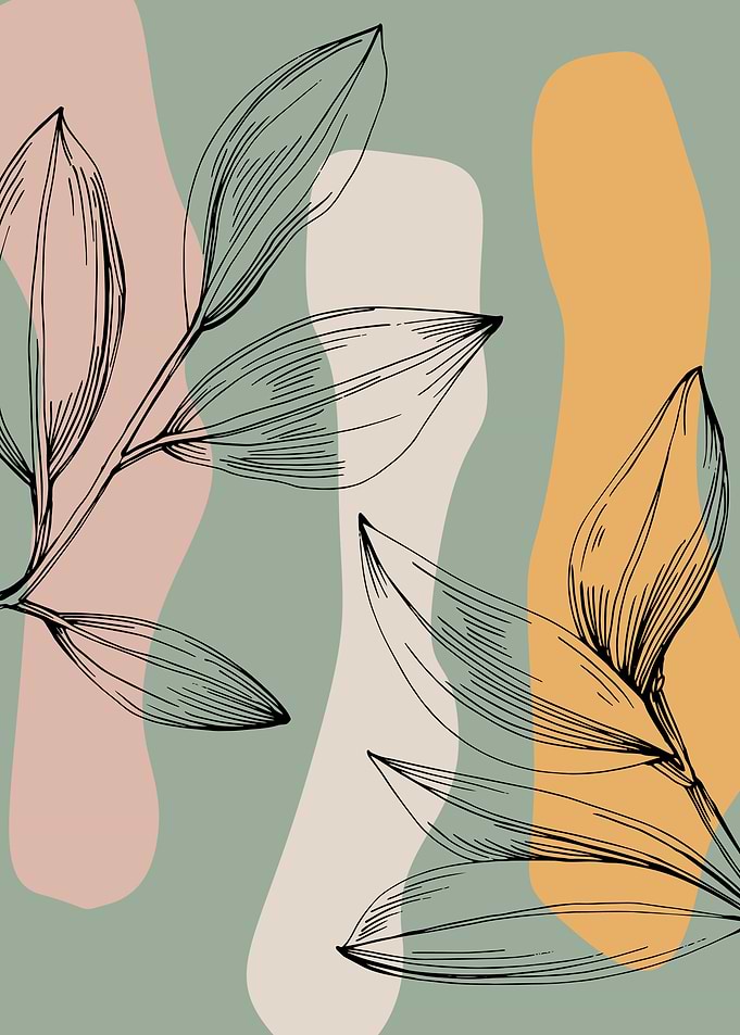 Jojoba Minimalist