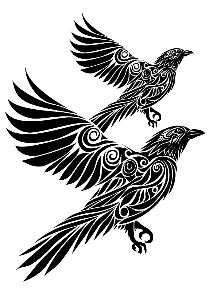 Crow flying tribal