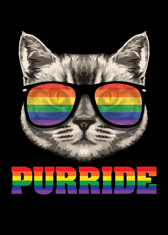 Purride Cat Rainbow